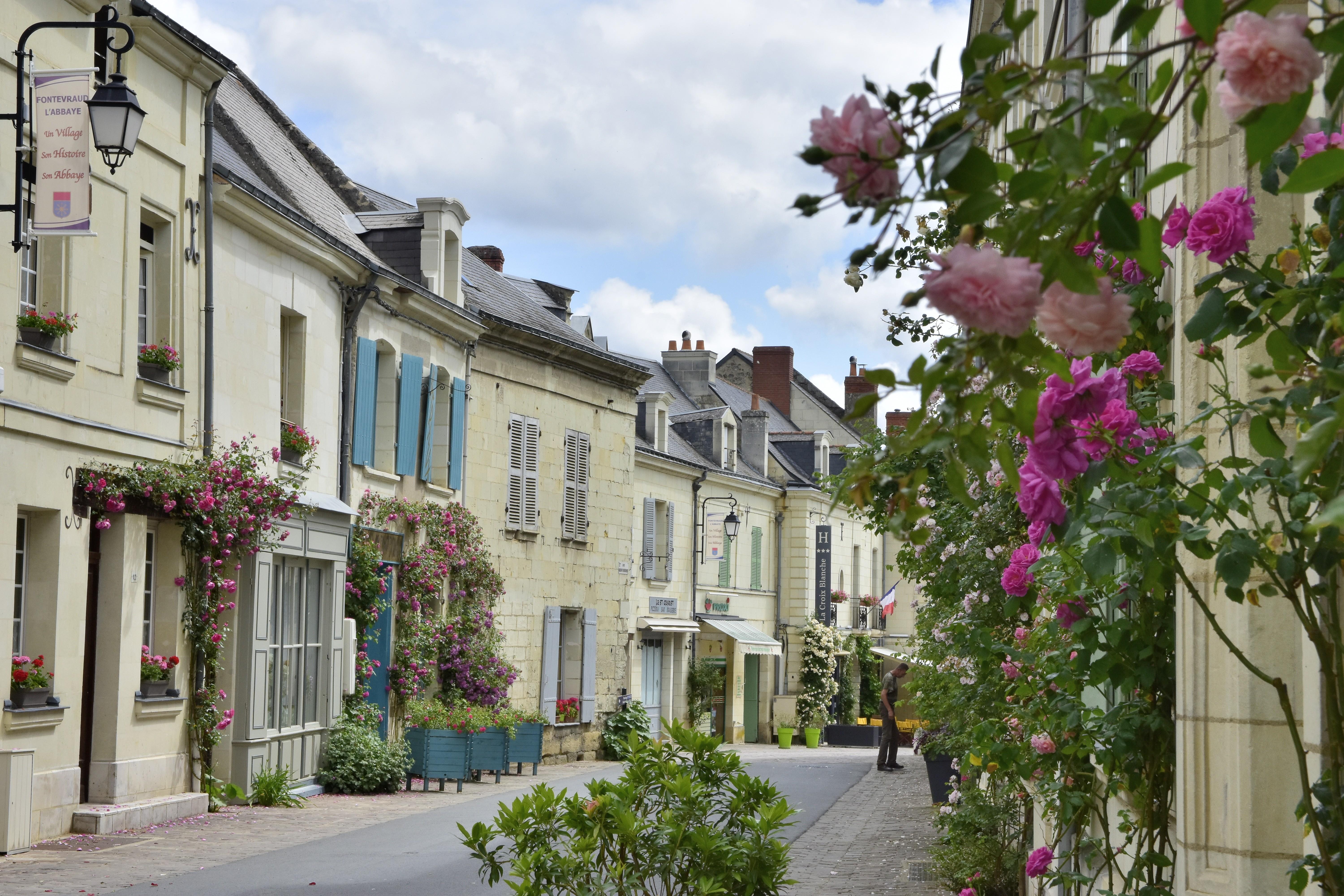 Logis Hotel La Croix Blanche Fontevraud Kültér fotó